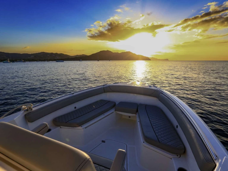 Alquiler Lancha Pursuit con o sin  título de navegación