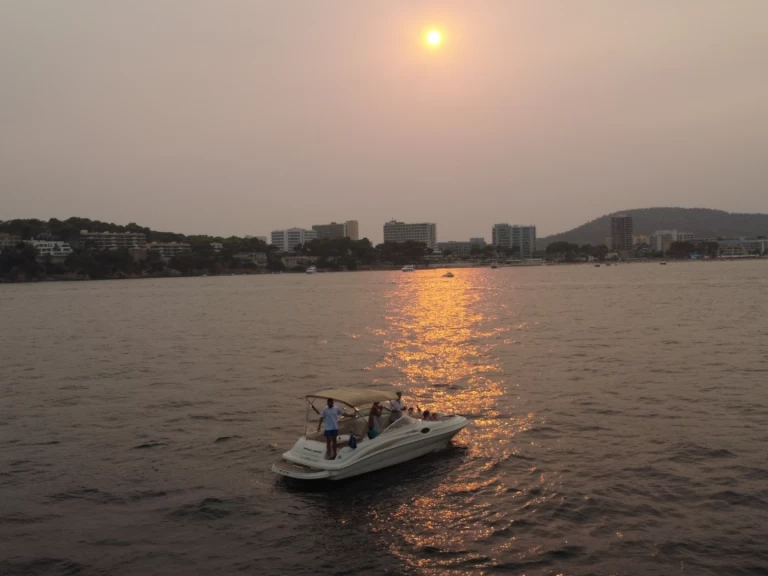 Alquiler Palma de Mallorca - Sea Ray Sea Ray 240 Sundeck en SamBoat