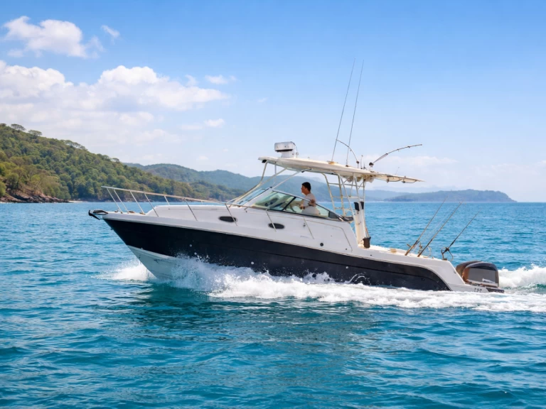 Alquiler Lancha Robalo con o sin  título de navegación