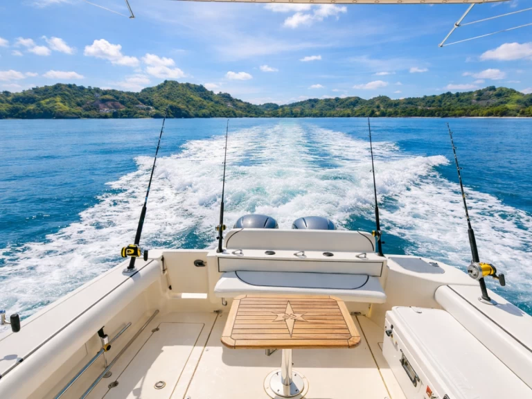 Alquiler de Robalo Robalo 31 FT en Bahía Culebra