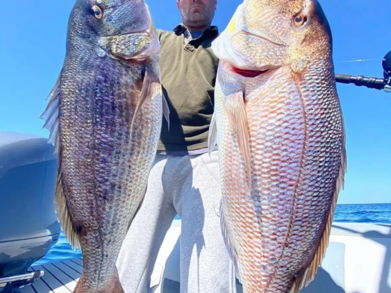 Alquiler de Lancha, con o sin patrón Saver 33 Marina di Portisco
