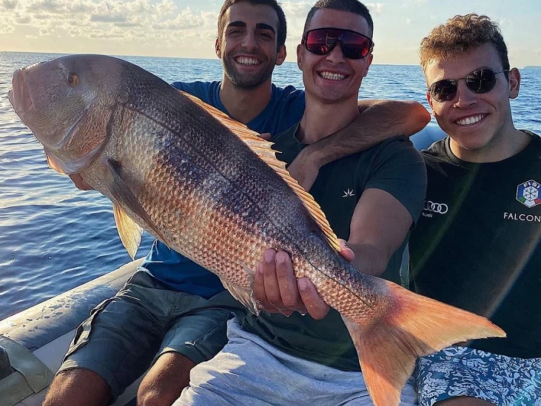 Alquiler Lancha Saver 33 con o sin  título de navegación