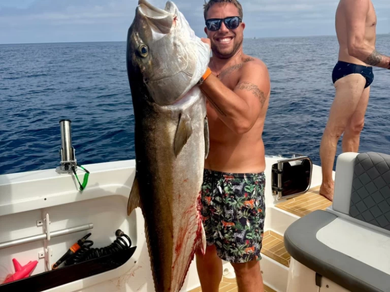 Lancha para alquilar Marina di Portisco al mejor precio