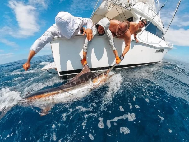 Alquiler de embarcaciones Viking Viking 50 enMarina Papagayo en Samboat