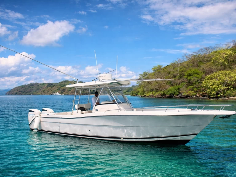 Pursuit Pursuit 32 de alquiler a Coco Bay