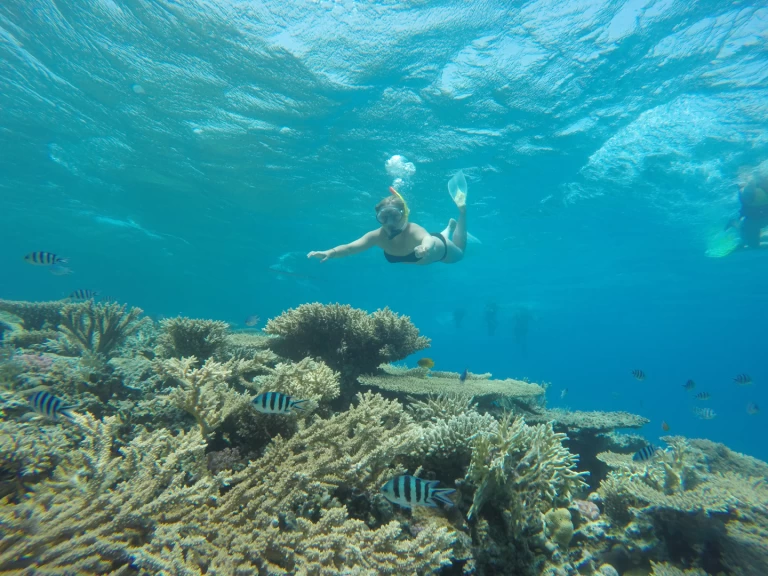 Alquiler de  Custom Built  444 en Sharm el-Sheij