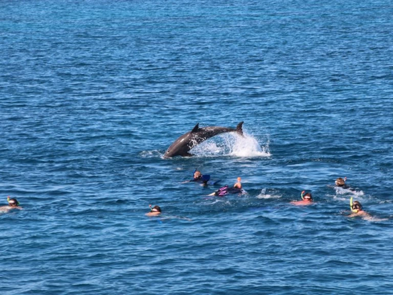 Alquiler Yate de lujo  con o sin  título de navegación