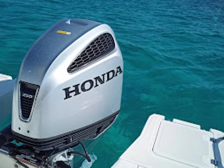 Alquiler Lancha  con o sin  título de navegación