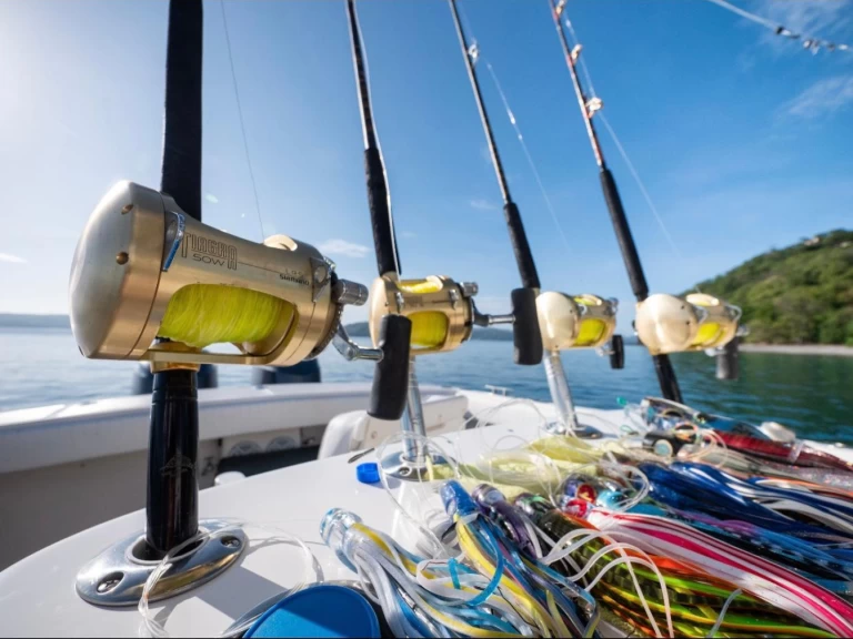 Lancha para alquilar Coco Bay al mejor precio