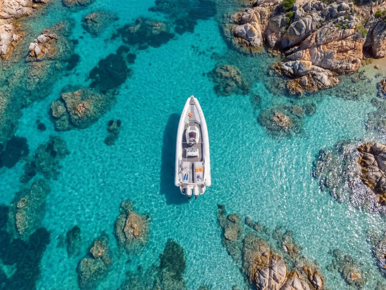 Alquiler Lancha Panamera con o sin  título de navegación