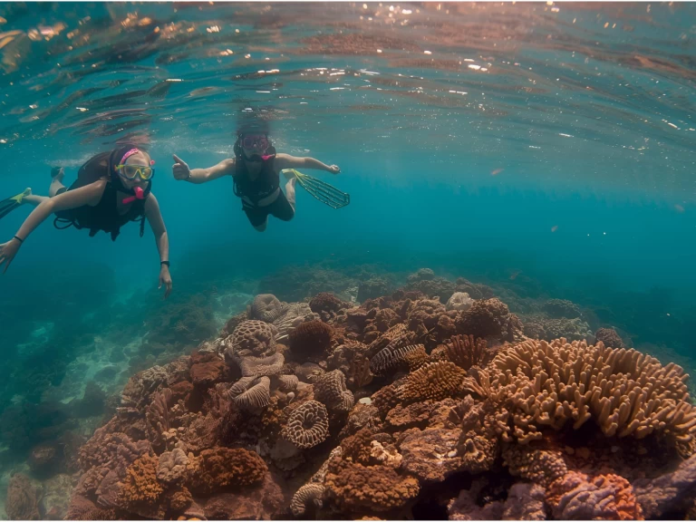 Alquiler Lancha en Punta Cana - Custom Custom