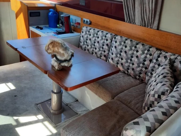 Alquiler Lancha en Pula - Riva rivarama 44