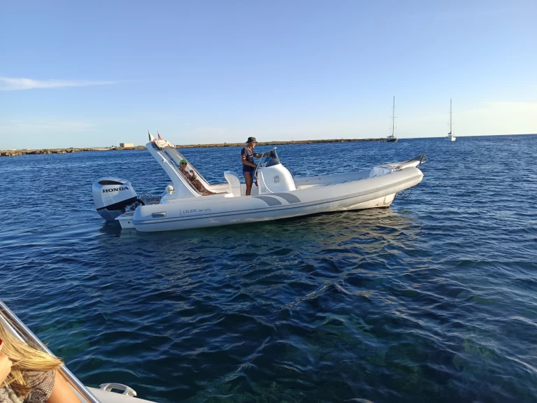 Alquiler Marsala - Colbac Shark en SamBoat