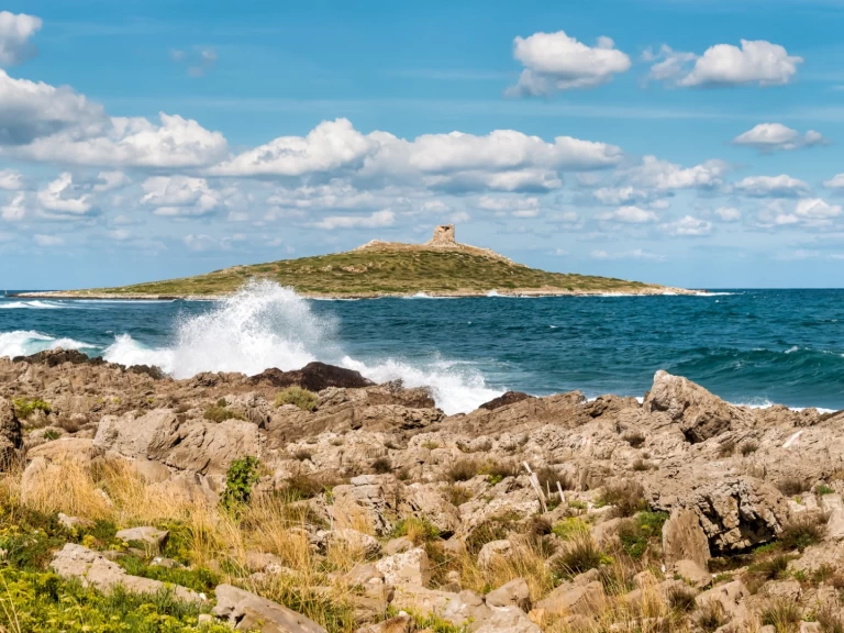 Alquiler de Joker Boat Coaster 650 en Palermo