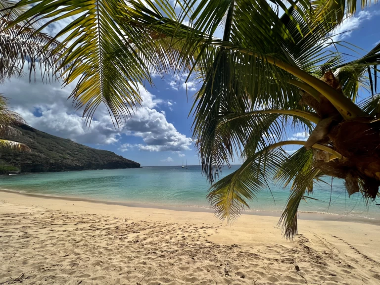 Alquiler Velero Pogo Structures con o sin  título de navegación