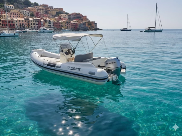 Alquiler Neumática Nautica Led con o sin  título de navegación