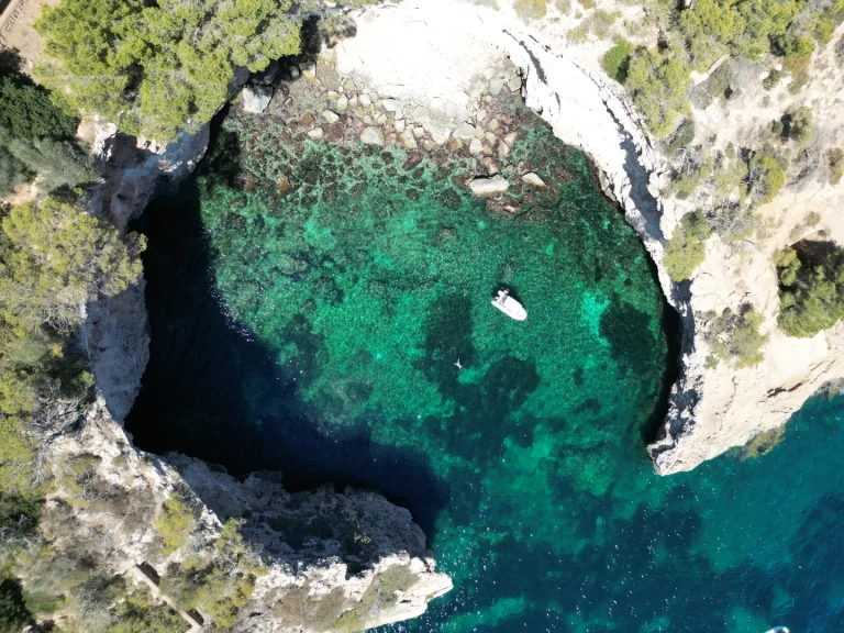 Alquiler de Neumática, con o sin patrón Protender Cala Figuera