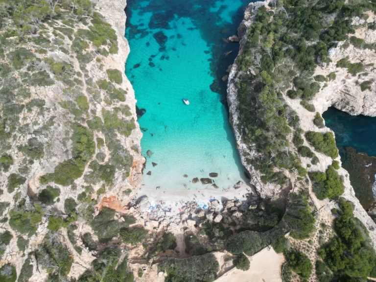 Protender Xs 470 de alquiler a Cala Figuera