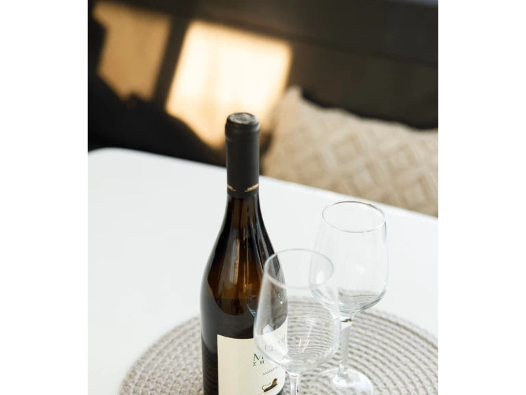 Alquiler Catamarán Lagoon con o sin  título de navegación