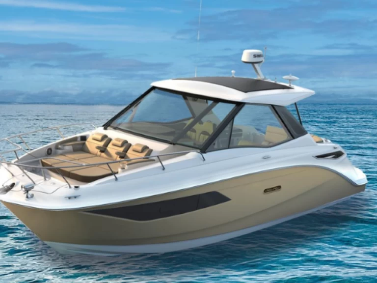 Alquiler de Lancha, con o sin patrón Sea Ray Ayia Napa