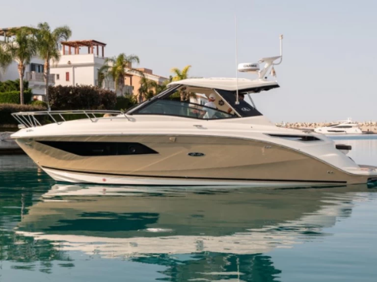 Alquiler Lancha Sea Ray con o sin  título de navegación