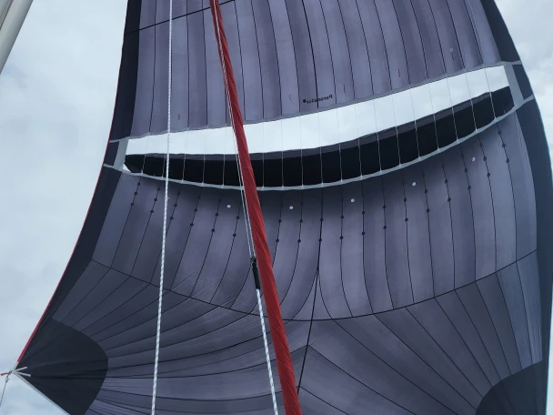 Neel Neel 43 de alquiler a Carloforte