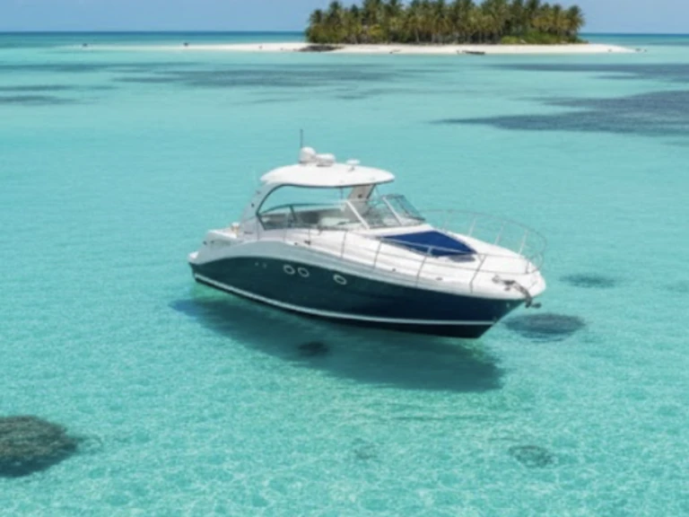Sea Ray SUNDANCER 420 de alquiler a Key West