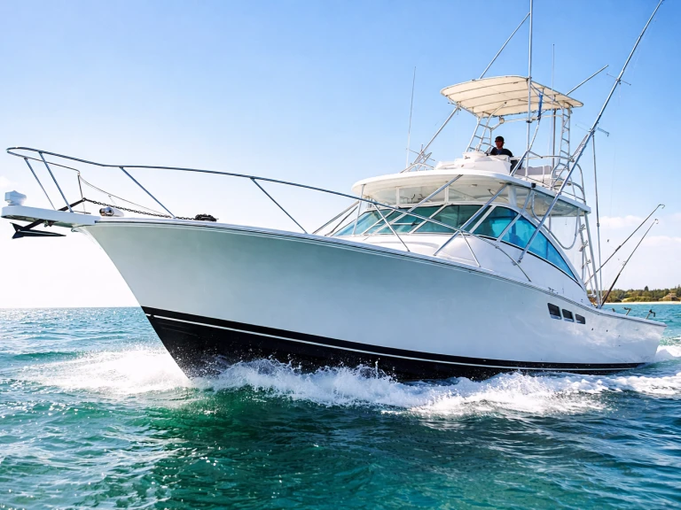 Alquiler de barcos Bávaro barato de custom