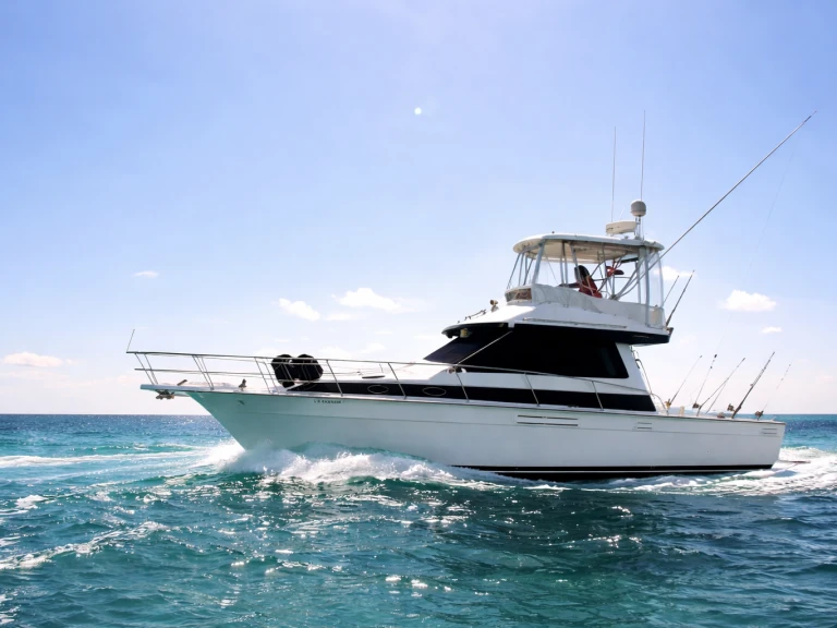 Alquiler de embarcaciones Custom Custom enBávaro en Samboat