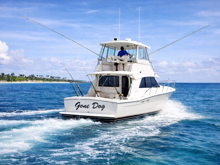 Lancha para alquilar Bávaro al mejor precio