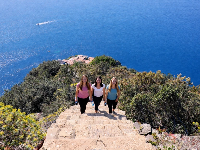 Alquiler Lancha Boston Whaler con o sin  título de navegación