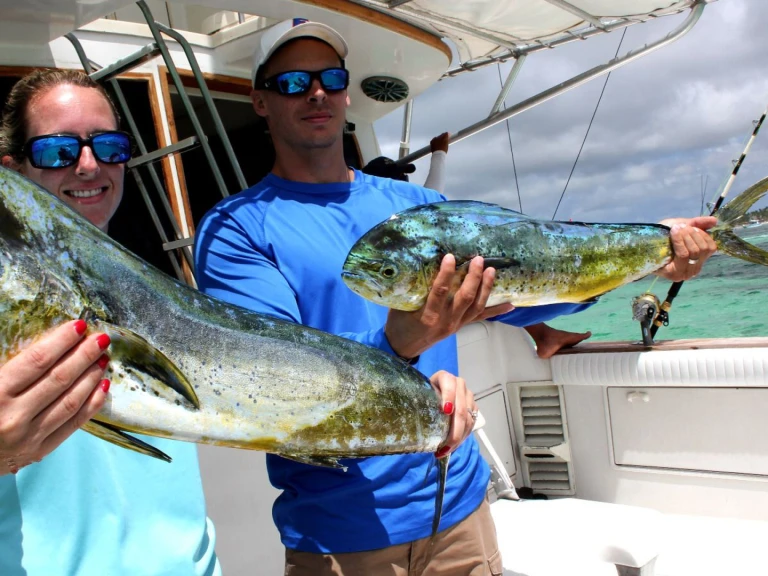 Custom Made custom de alquiler a Bávaro