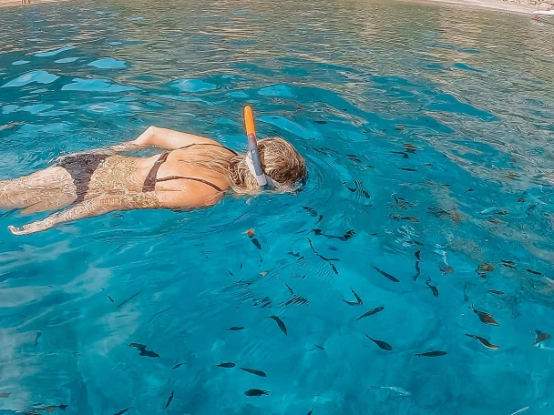 Okiboats Barracuda 545 Open de alquiler a Club Nàutic Ca'n Picafort