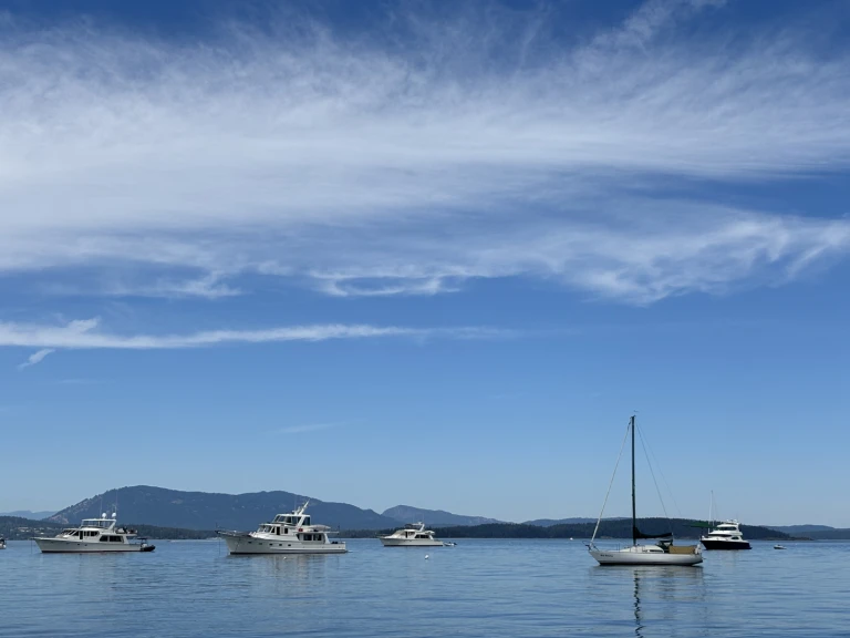 Alquiler de Velero, con o sin patrón Albin Sidney