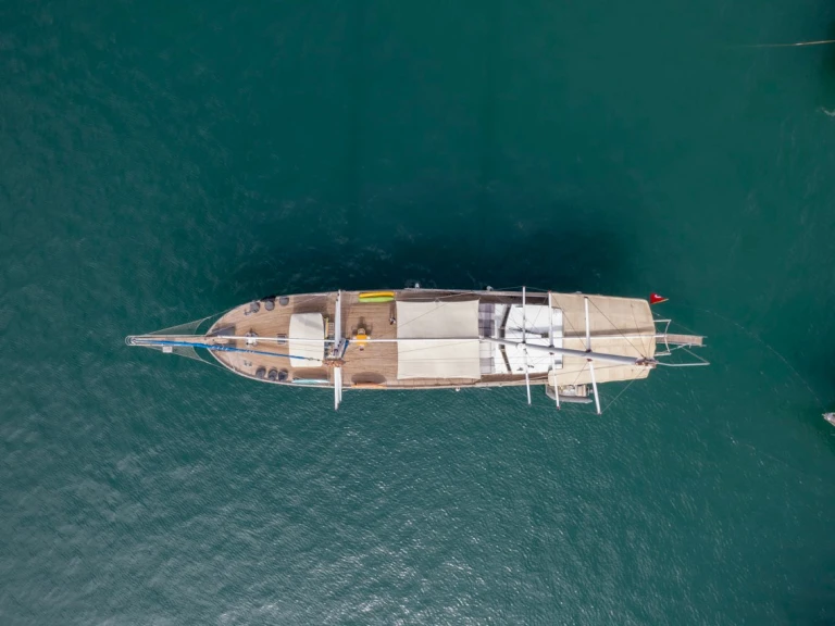 Alquiler Velero  con o sin  título de navegación