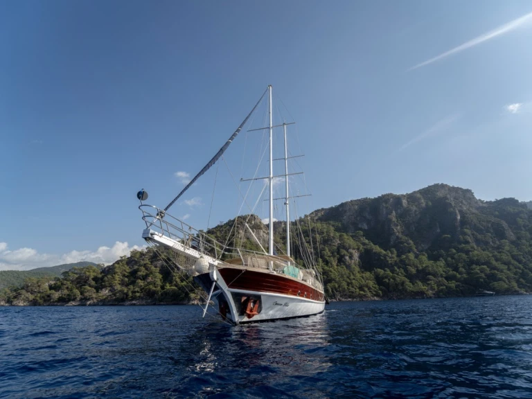 Alquiler Velero  con o sin  título de navegación