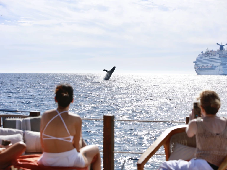 Alquiler de embarcaciones Custom Made 36 enCabo San Lucas en Samboat