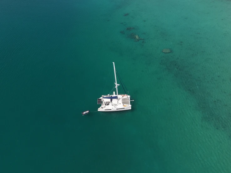 Alquiler Catamarán Catana con o sin  título de navegación