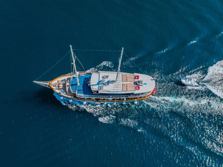 Custom NOVI DAN de alquiler a Skradin