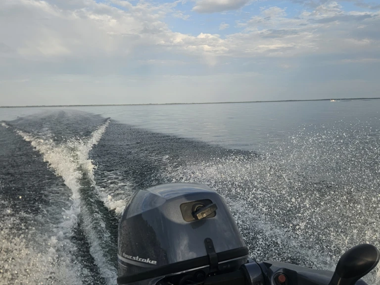 Alquiler Lancha Boston Whaler con o sin  título de navegación