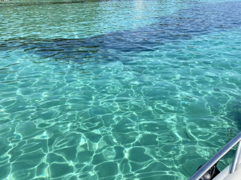 Alquiler de barcos Cannes barato de Turchese 24