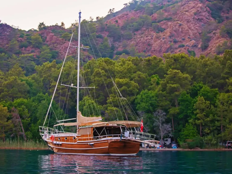 Alquiler de embarcaciones Custom Made enGöcek en Samboat