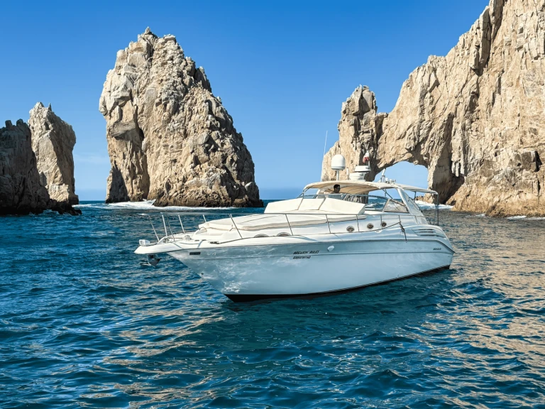 Custom Made custom de alquiler a Cabo San Lucas