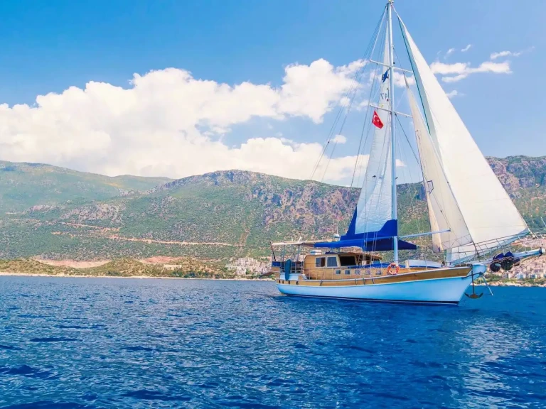 Alquiler Velero Custom con o sin  título de navegación