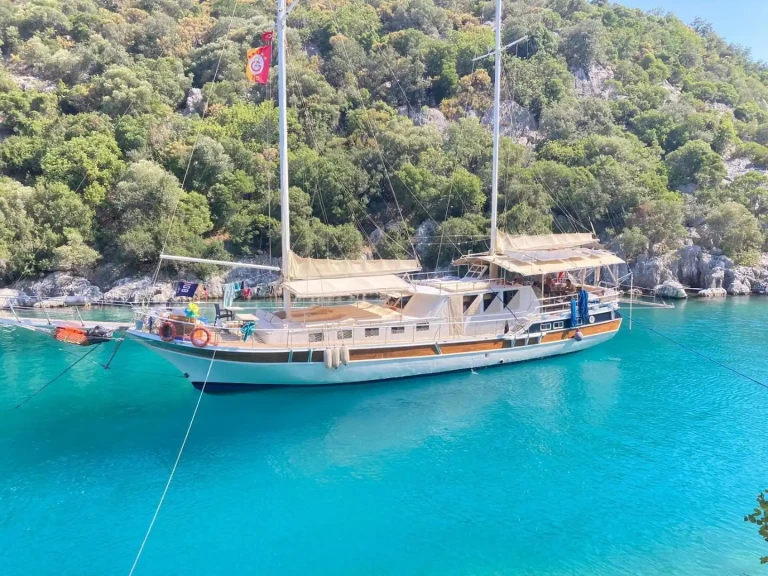 Alquiler Velero Custom con o sin  título de navegación