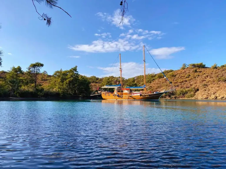 Alquiler Velero Custom con o sin  título de navegación