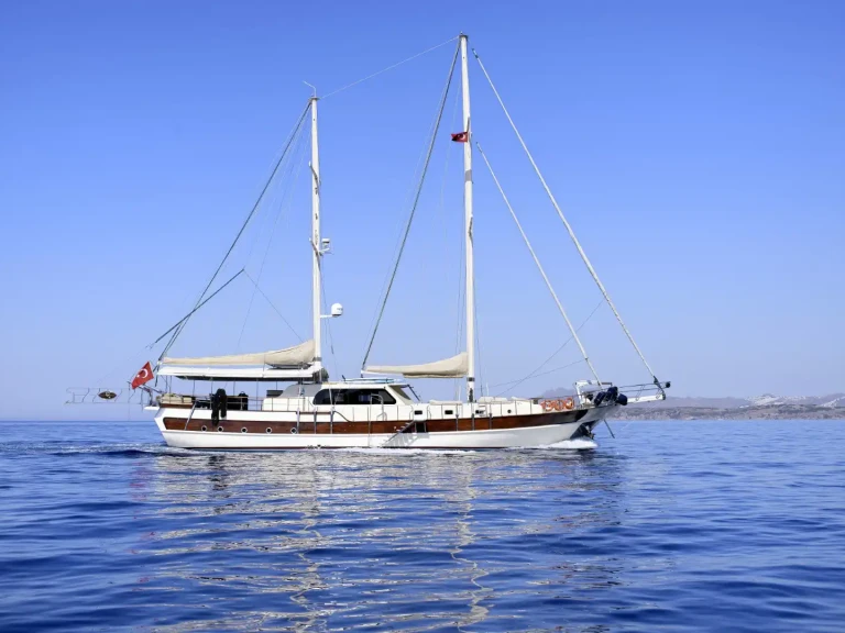 Alquiler Velero Custom con o sin  título de navegación