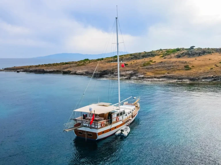 Alquiler Velero Custom con o sin  título de navegación