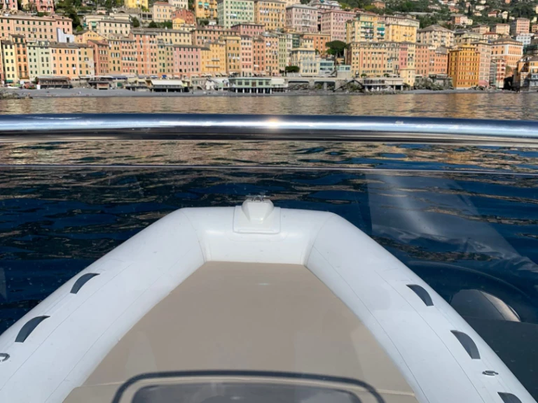 Alquiler Lancha Capelli con o sin  título de navegación