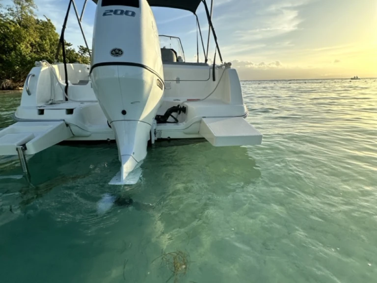 Alquiler Lancha en Le Gosier - Pacific Craft Pacific Craft 670 Open